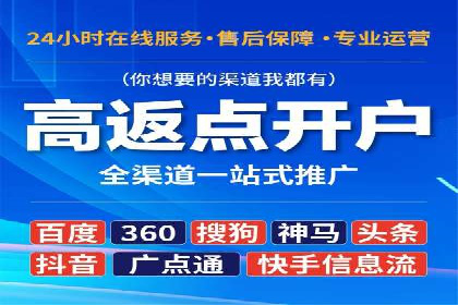 成功SEM托管案例解析